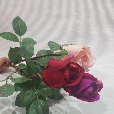 Роза Анастасия