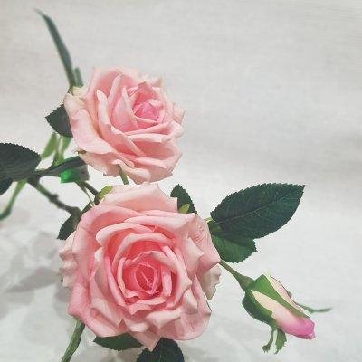 Роза розовая