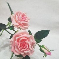 Роза розовая