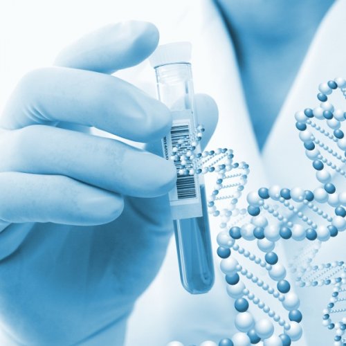 Первичный прием генетика