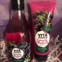 Смородина и ежевика 2