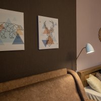 1комн Молокова 46