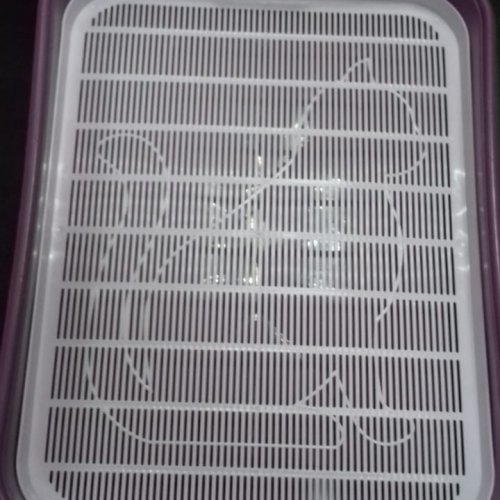 Лоток для кошачьего туплета