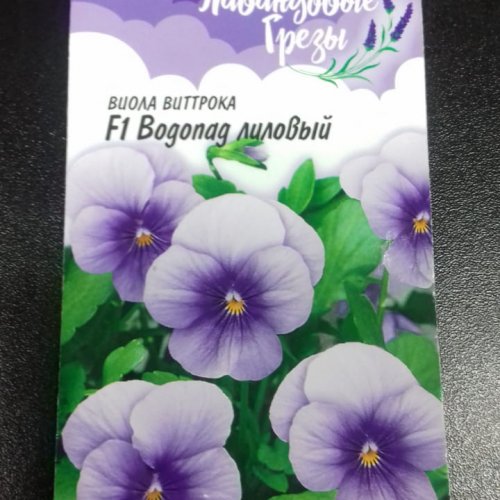 Гавриш виола витрока f1 водопад лиловый