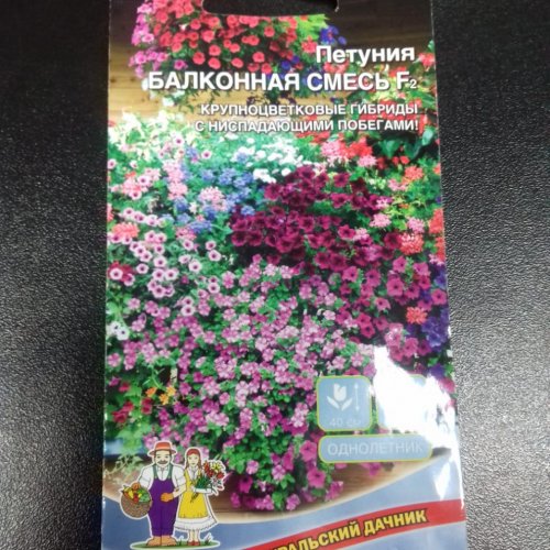 Петуния балконная