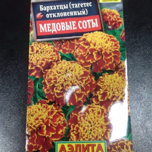 Бархатцы Медовые