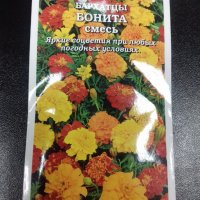 Бархатцы Бонита
