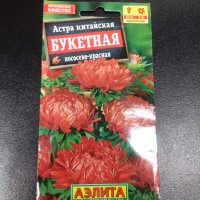 Астра китайская