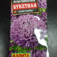 Астра однолетняя