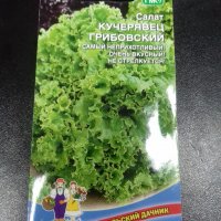 Салат Кучерявец