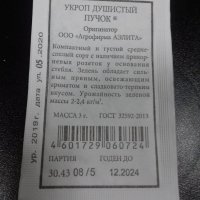 Укроп Душистый