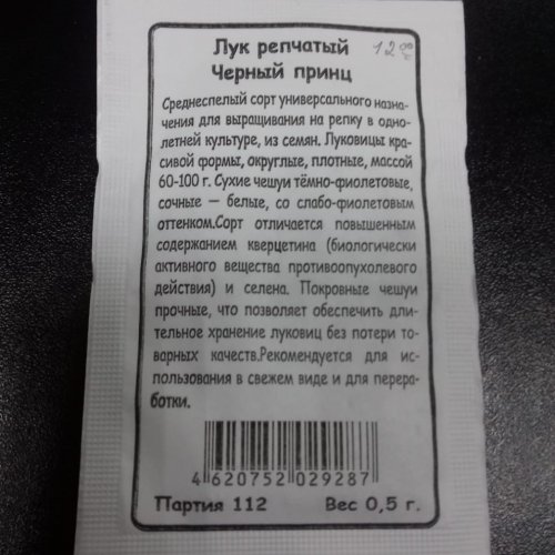 Лук репчатый