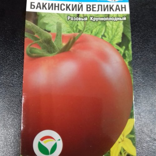 Томат Бакинский Великан Розовый