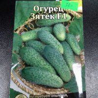 Огурец Зятек F1