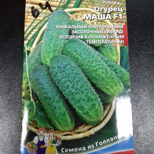 Огурец Маша F1