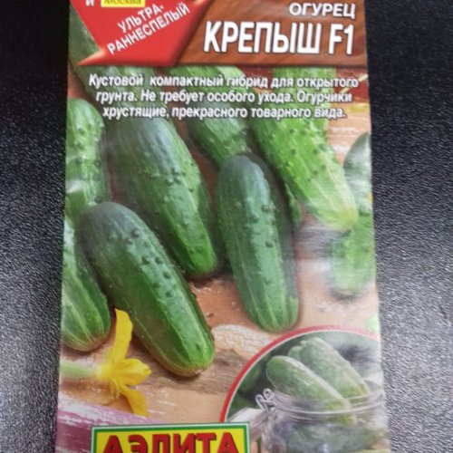 Огурец Крепыш