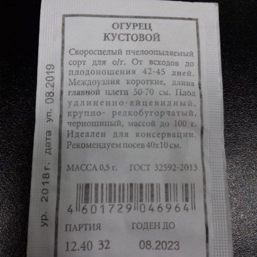 Огурец Кустовой Аэлита