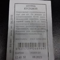 Огурец Кустовой Аэлита