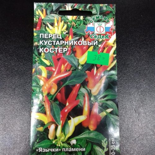Перец кустарниковый Костёр