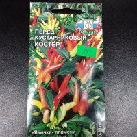 Перец кустарниковый Костёр