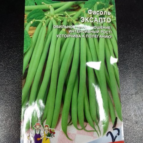 Фасоль Эксалто Уральский дачник