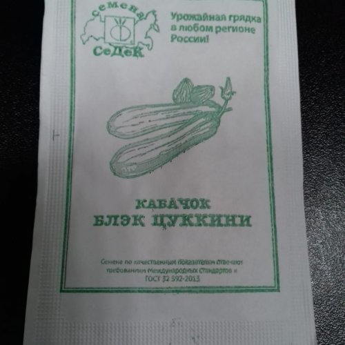 Кабачок Блэк цуккини Седек