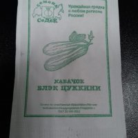 Кабачок Блэк цуккини Седек