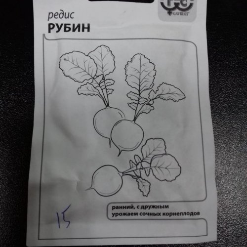 Редис Рубин Гавриш