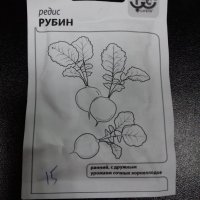 Редис Рубин Гавриш