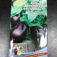 Баклажан Бардовский фестиваль