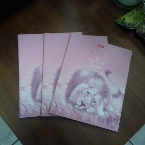 Тетрадь общая Львы 48 листов