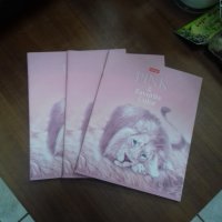 Тетрадь общая Львы 48 листов