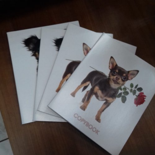 Тетрадь общая Собаки 48 листов