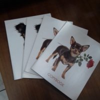 Тетрадь общая Собаки 48 листов