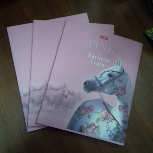 Тетрадь общая Лошадь 48 листов