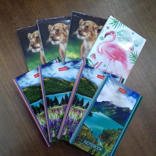 Блокнот клетка цветные листы в асс  40 стр