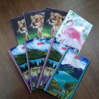 Блокнот клетка цветные листы в асс  40 стр