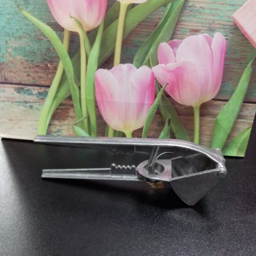 Чеснокодавилка