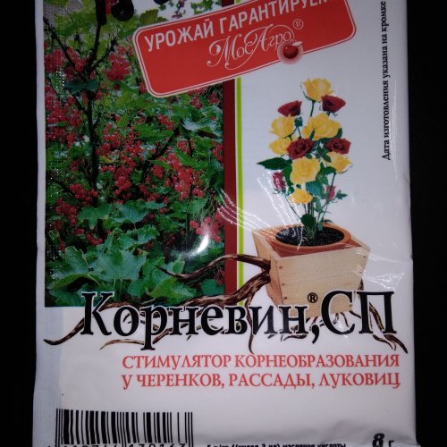 Корневин