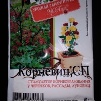 Корневин