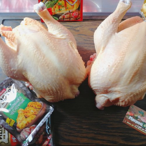 Бройлер домашний