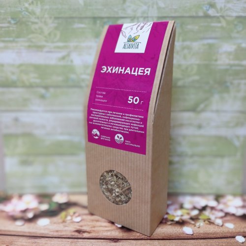 Эхинацея