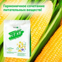 Сухой напиток Fit XS "Тяньши" (В упаковке 20 порций – 10 со вкусом сыра и 10 со вкусом кукурузы.)