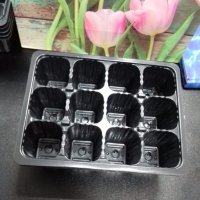 Контейнер для рассады 12 ячеек