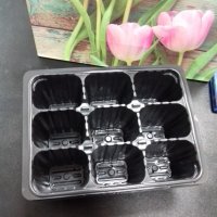 Контейнер для рассады 9 ячеек