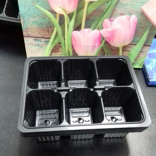 Контейнер для рассады 6 ячеек