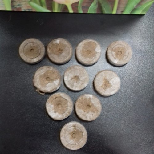 Таблетки для рассады торфяные