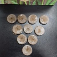 Таблетки для рассады торфяные