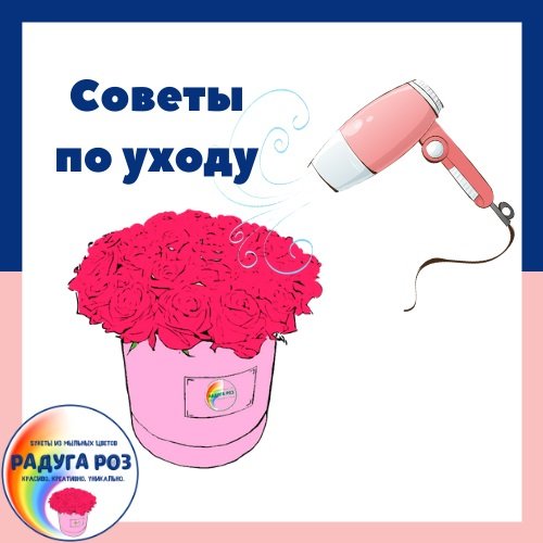 Мы советуем