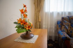 Двухместный улучшенный